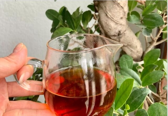 ชาขาว Feibai Anji ที่มาจากภูเก็ต ชาขาวกระป๋องขนาดเล็กที่มีกลิ่นผลไม้และดอกไม้